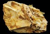 Yellow Barite Crystal Cluster - Peru #64130-2